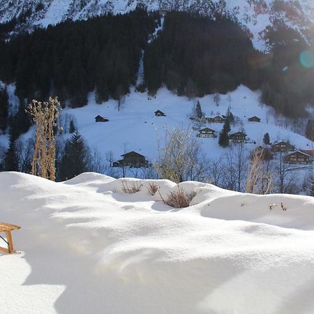 Chalet Pfingsteggblick Grindelwald Eksteriør bilde
