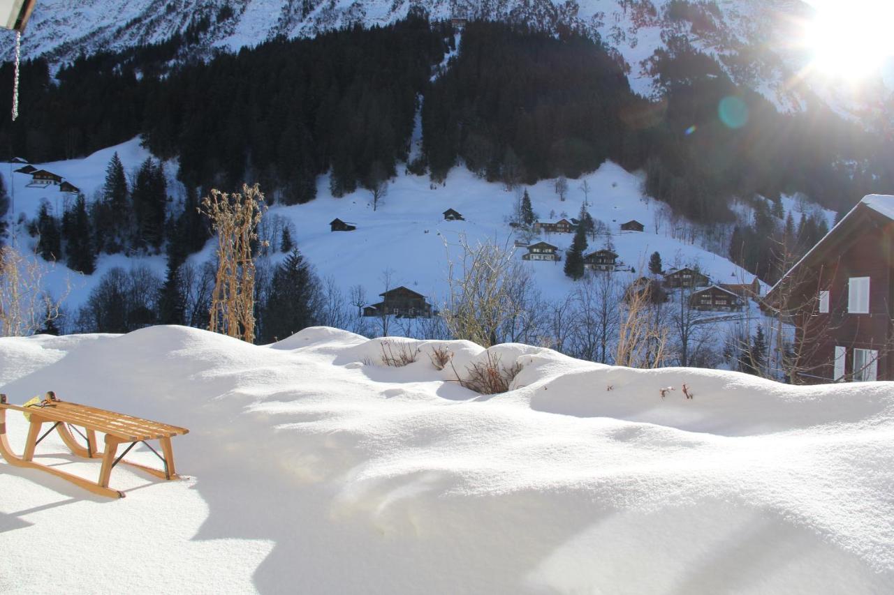 Chalet Pfingsteggblick Grindelwald Eksteriør bilde
