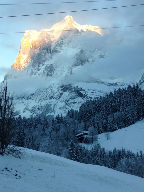 Chalet Pfingsteggblick Grindelwald Eksteriør bilde