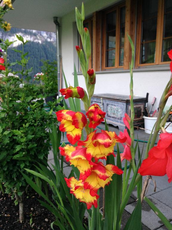 Chalet Pfingsteggblick Grindelwald Eksteriør bilde
