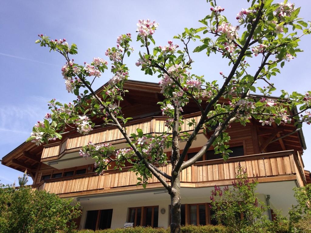 Chalet Pfingsteggblick Grindelwald Eksteriør bilde